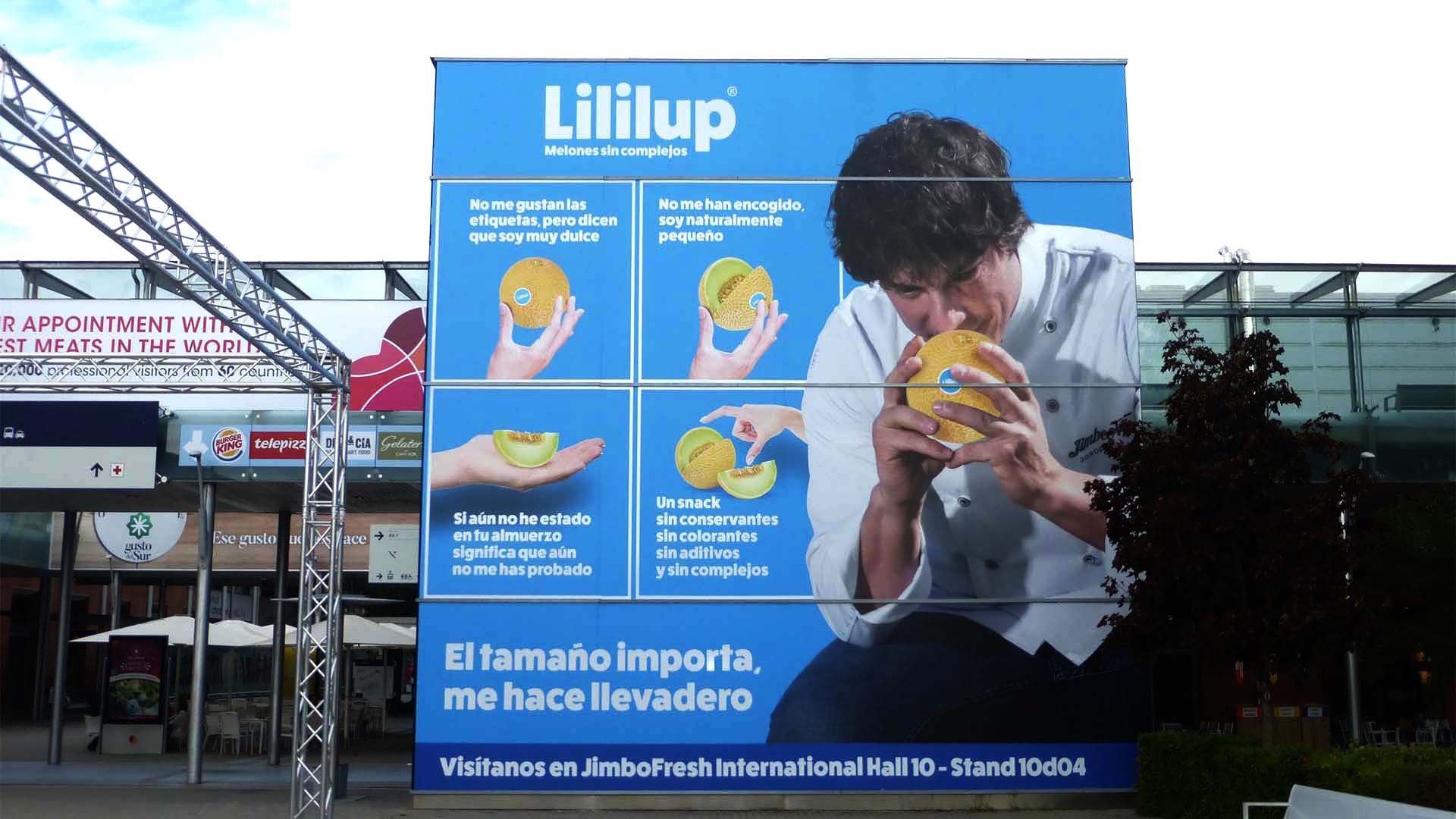 vinilo-ifema-lililup