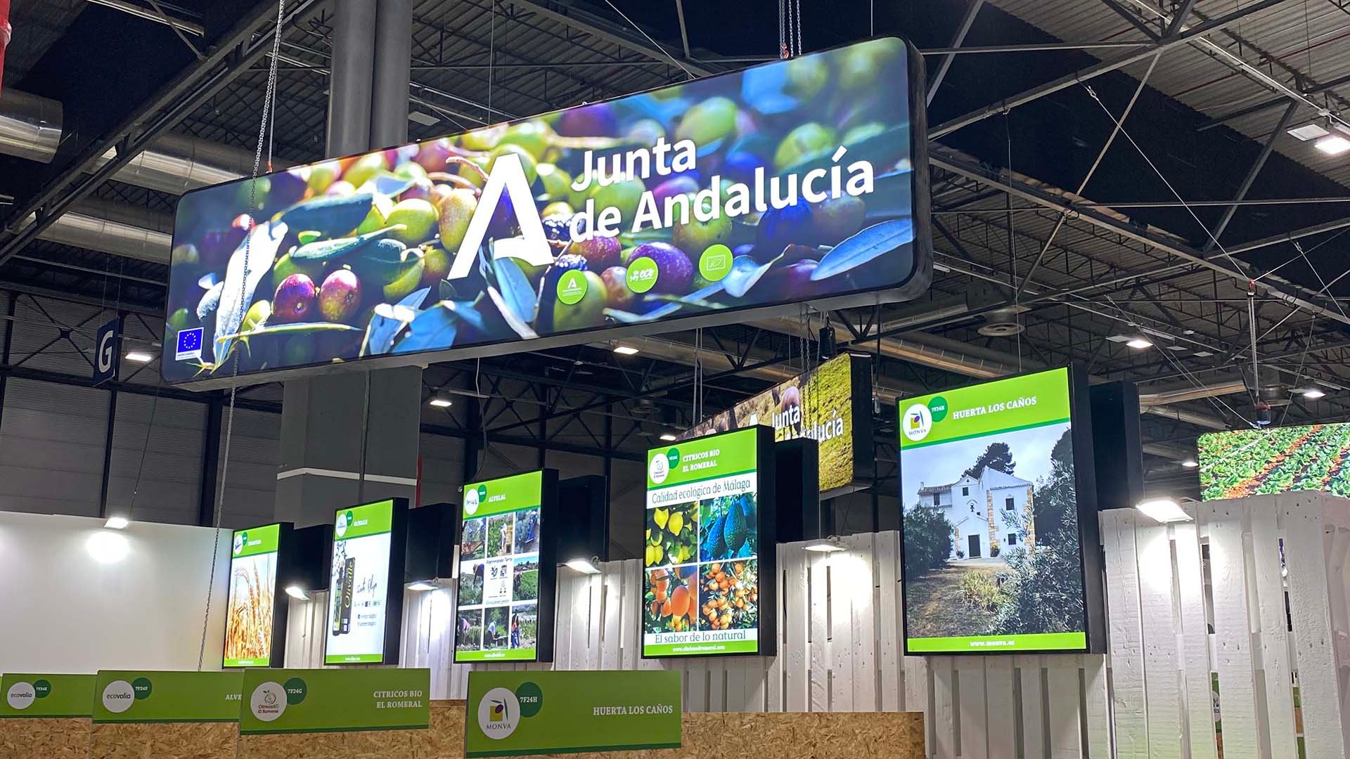 eventos-rotulos-caja-de-luz-junta-de-andalucia