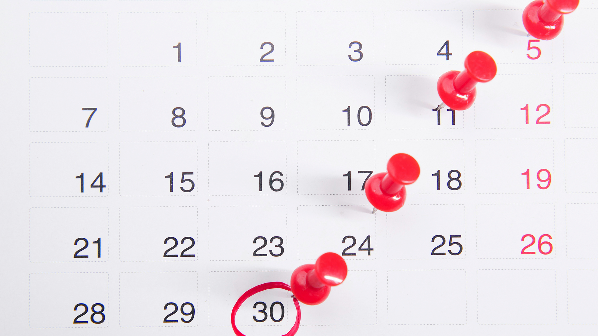 Calendario